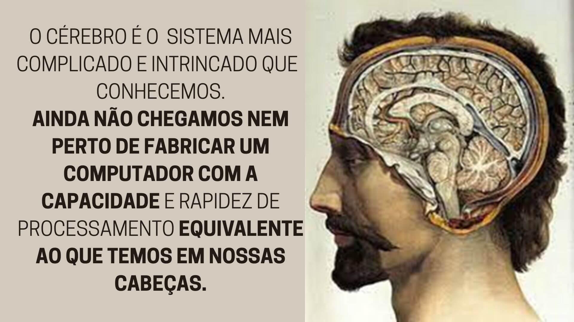 Treinando seu Cérebro - Projetando Neurociência